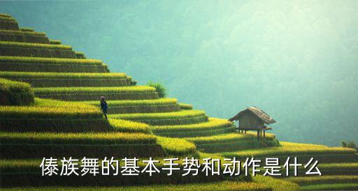  傣族舞的基本手势和动作是什么