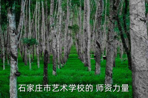 石家庄市艺术学校的 师资力量