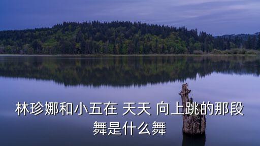 林珍娜和小五在 天天 向上跳的那段舞是什么舞