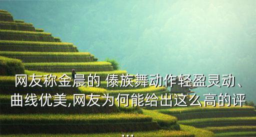 网友称金晨的 傣族舞动作轻盈灵动、曲线优美,网友为何能给出这么高的评...