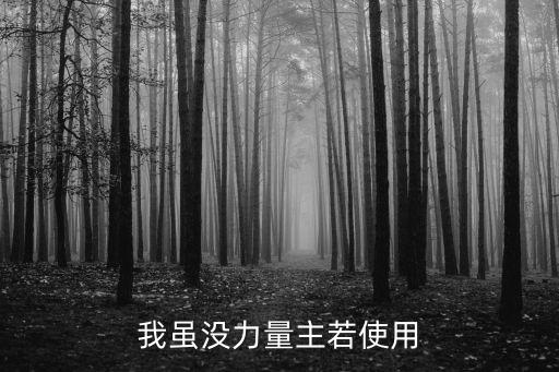 我虽没力量主若使用