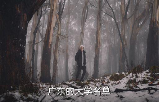 广东的大学名单