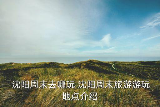 沈阳铁西区舞蹈版,沈阳市铁西区李晶舞蹈