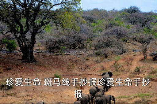 珍爱生命 斑马线手抄报珍爱生命手抄报