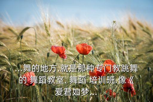 贝舞舞蹈艺术培训中心,北舞舞蹈教师资格证