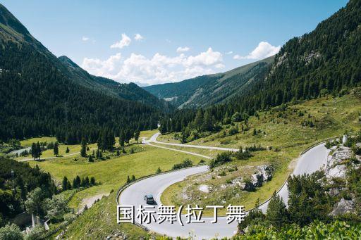 国标舞(拉丁舞