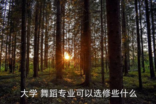  大学 舞蹈专业可以选修些什么