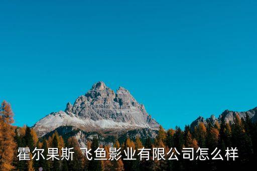 霍尔果斯 飞鱼影业有限公司怎么样