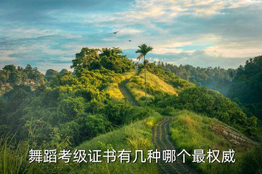  舞蹈考级证书有几种哪个最权威