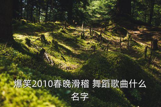 爆笑2010春晚滑稽 舞蹈歌曲什么名字