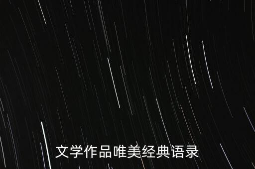 文学作品唯美经典语录