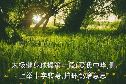 中国太极网舞蹈欢乐夕阳红
