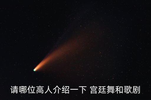 请哪位高人介绍一下 宫廷舞和歌剧
