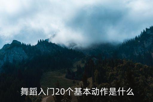  舞蹈入门20个基本动作是什么