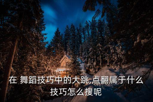在 舞蹈技巧中的大跳,点翻属于什么技巧怎么搜呢