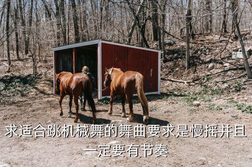 云飞歌曲的舞蹈,云飞的歌曲视频11首