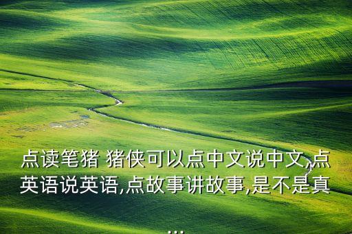 点读笔猪 猪侠可以点中文说中文,点英语说英语,点故事讲故事,是不是真...