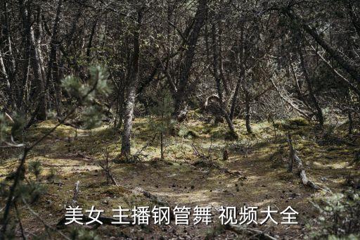  美女 主播钢管舞 视频大全