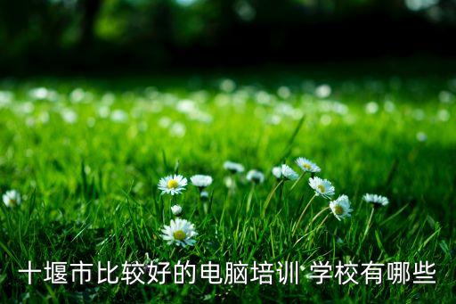 红帆舞蹈学校价格,邹城红帆舞蹈学校怎么样