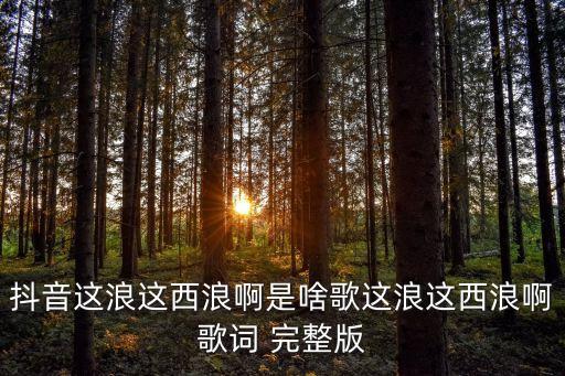 抖音这浪这西浪啊是啥歌这浪这西浪啊歌词 完整版