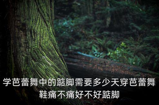 舞蹈踮脚尖过程,女孩你为何踮脚尖舞蹈视频完整版