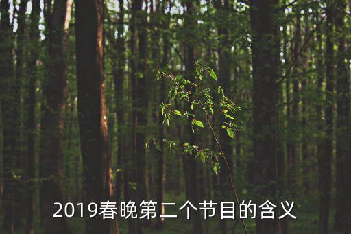 2019春晚第二个节目的含义