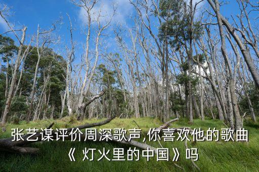 张艺谋评价周深歌声,你喜欢他的歌曲《 灯火里的中国》吗