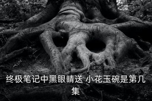 终极笔记中黑眼睛送 小花玉碗是第几集