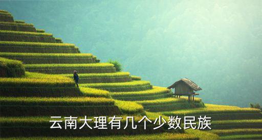云南大理有几个少数民族