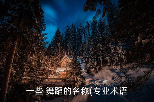 一些 舞蹈的名称(专业术语