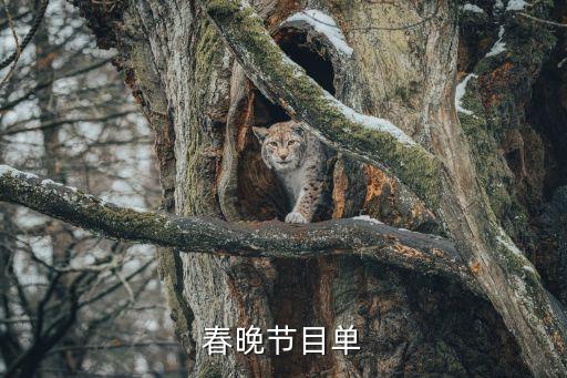 晚会结尾的舞蹈,晚会舞蹈视频