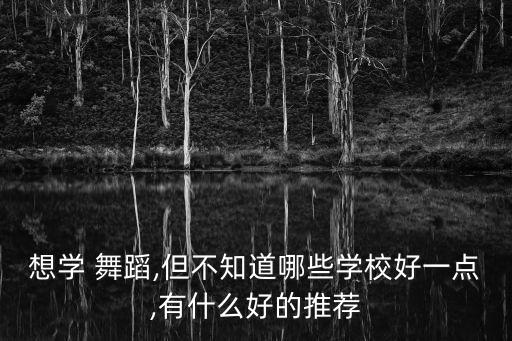 沈阳 成人舞蹈 培训,沈阳成人舞蹈培训班哪里比较专业