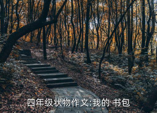 四年级状物作文:我的 书包