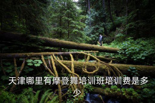 天津舞蹈协会地址