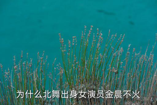 为什么北舞出身女演员金晨不火