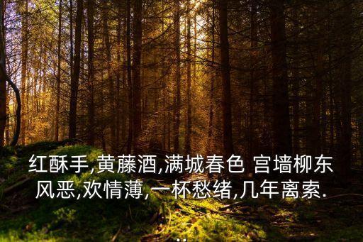 红酥手,黄藤酒,满城春色 宫墙柳东风恶,欢情薄,一杯愁绪,几年离索...