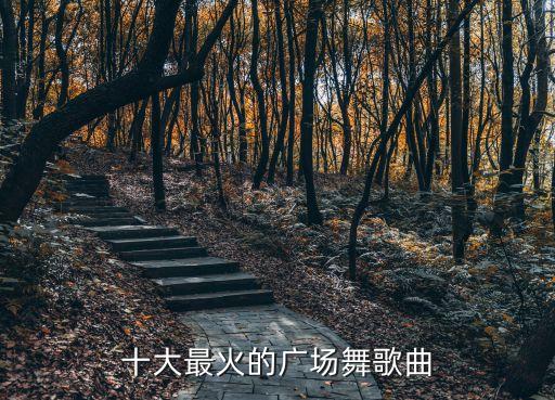 十大最火的广场舞歌曲