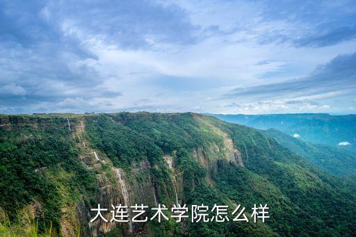  大连艺术学院怎么样