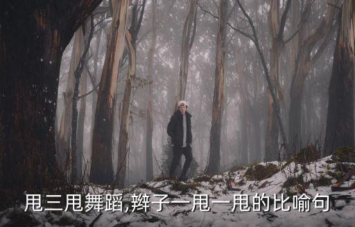 辫子甩三甩舞蹈,辫子一甩一甩的比喻句