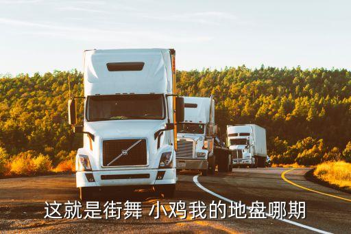 这就是街舞 小鸡我的地盘哪期