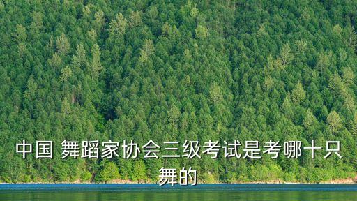 中国 舞蹈家协会三级考试是考哪十只舞的