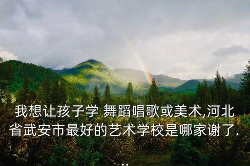 我想让孩子学 舞蹈唱歌或美术,河北省武安市最好的艺术学校是哪家谢了...