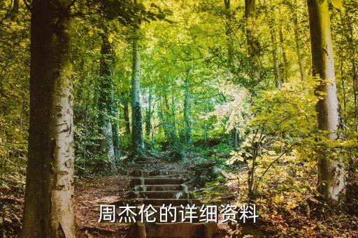 周杰伦的详细资料