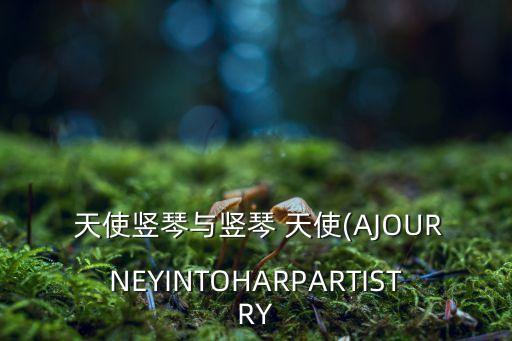  天使竖琴与竖琴 天使(AJOURNEYINTOHARPARTISTRY