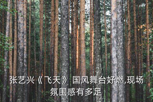 张艺兴《飞天》 国风舞台好燃,现场氛围感有多足