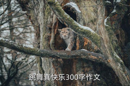加油 我密够的舞蹈,加油咪够舞蹈视频