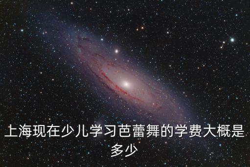 上海现在少儿学习芭蕾舞的学费大概是多少