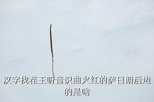 汉字找茬王听音识曲火红的萨日朗后边的是啥