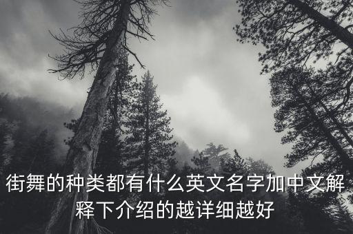 街舞的种类都有什么英文名字加中文解释下介绍的越详细越好