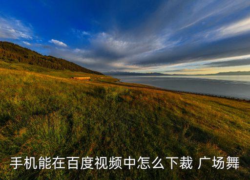 手机能在百度视频中怎么下裁 广场舞